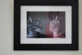 /album/a6-olhares-fotografia/dsc-0008-df-jpg/